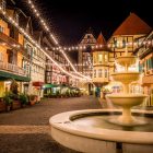 Colmar Tropicale