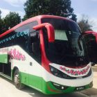 45 Seater Tour Bus
