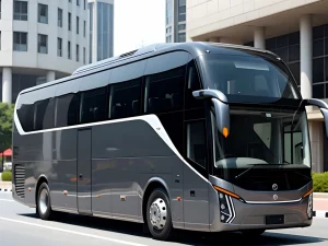 14 SEATER VIP BUS