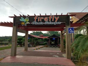 Kelip Kelip Tour (6 hrs)
